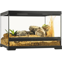 Terrarium mit Pflanzen und Steinen