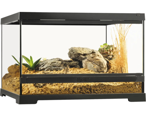 Terrarium mit Pflanzen und Steinen