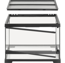 Terrarium aus Glas mit Abdeckung