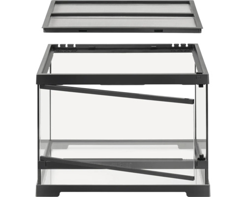 Terrarium aus Glas mit Abdeckung