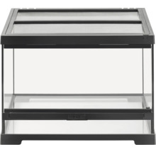 Terrarium aus Glas mit Gitterabdeckung