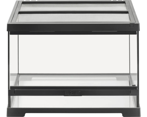 Terrarium aus Glas mit Gitterabdeckung