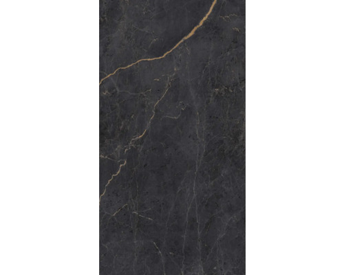 Dunkle Fliese mit Marmorierung für Wand- und Bodenbeläge