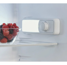 Innenansicht eines Kühlschranks mit einer Schale Beeren und einem Temperaturregler.