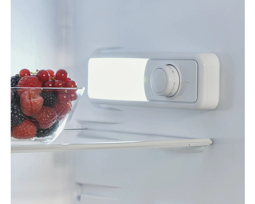 Innenansicht eines Kühlschranks mit einer Schale Beeren und einem Temperaturregler.