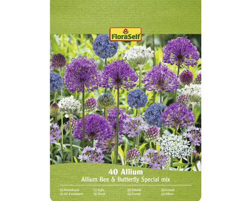 Blumenzwiebel Allium/Zierlauch 'Bee- & Butterfly-Mix' FloraSelf 40 Stück FloraSelf Zierlauch Bienen und Schmetterlingsmischung, Packung mit 40 Stück