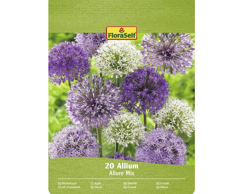 Blumenzwiebel Zierlauch FloraSelf ' Allium Deco ' 20 Stück Packung Zierlauch Allium Allure Mix mit FloraSelf Logo