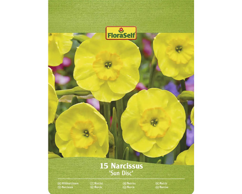 Blumenzwiebel Narzisse FloraSelf ' Sundisc ' 15 Stück Verpackung mit 15 Narzissen der Sorte Sun Disc