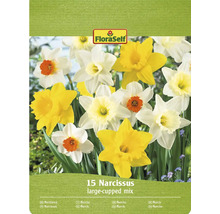 Verpackung Narzissen Mischung mit 15 Blumenzwiebeln