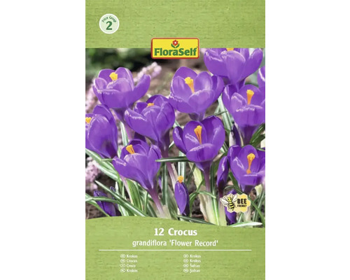 Blumenzwiebel Krokus FloraSelf ' Flower Record ' 12 Stück Packung Krokusse der Sorte 'Flower Record' mit zwölf Stück und dem FloraSelf Logo.