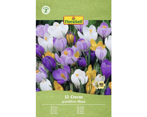 Verpackung mit 12 Krokussen, Sorte Grandiflora Mixed