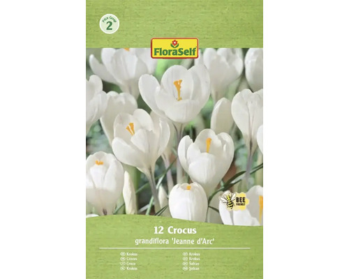 Blumenzwiebel Krokus FloraSelf ' Jeanne d'Arc ' 12 Stück Packung mit zwölf Krokus grandiflora Jeanne d'Arc Blumenzwiebeln