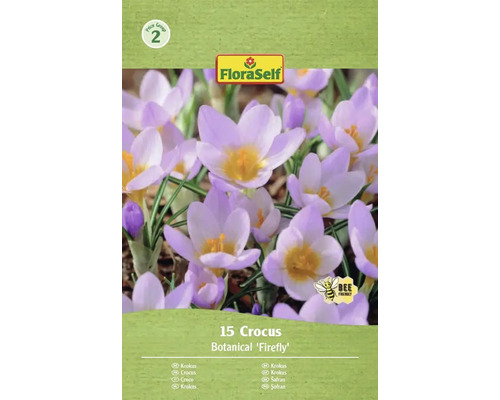 Verpackung mit 15 Krokus Botanical 'Firefly' Blumenzwiebeln