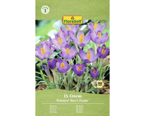 Verpackung mit 15 Krokus Botanical Barrs Purple Blumenzwiebeln von FloraSelf