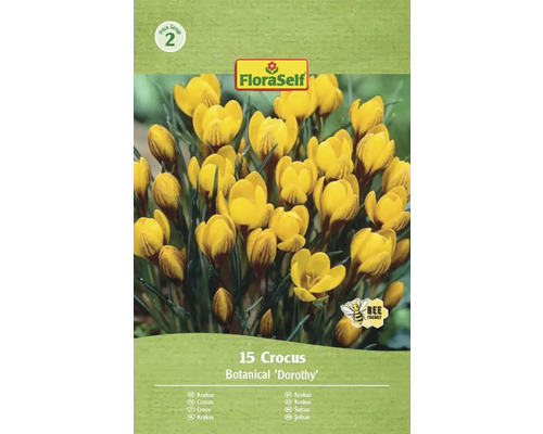 Packung Krokusse der Sorte Botanical Dorothy