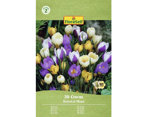 Blumenzwiebel Krokus FloraSelf ' Botanische Krokusse Mischung ' 20 Stück Packung Krokusse mit botanischer Mischung, 20 Stück