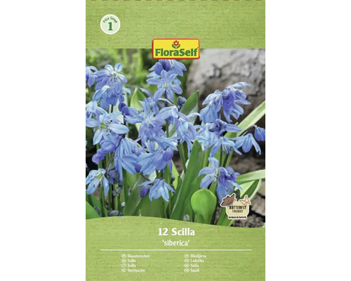 Verpackung von 12 Scilla siberica Zwiebeln der Marke FloraSelf
