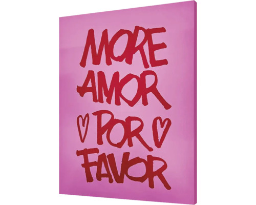 Dekoratives Wandbild mit der Aufschrift 'More Amor Por Favor'