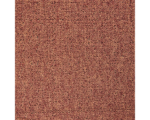 Teppichboden Schlinge Rambo terra FB38 400 cm breit (Meterware) Nahaufnahme eines Teppichbodens