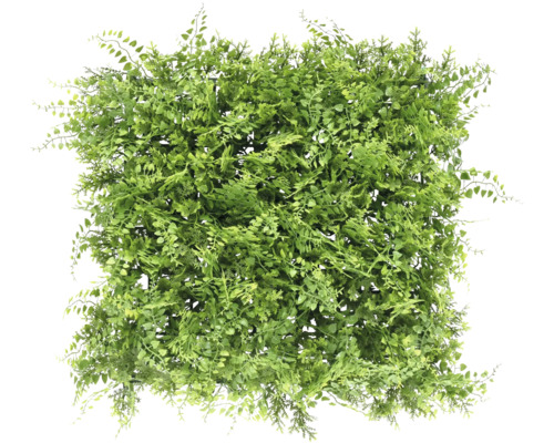 Künstliche Pflanzenwand Farn 38 x 38 cm Kunstpflanzenmatte mit verschiedenen grünen Blättern