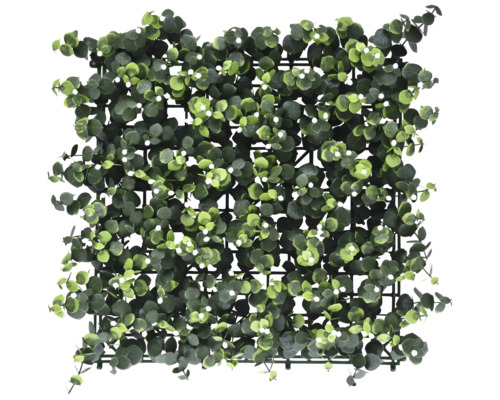 Künstliche Pflanzenwand White Buds 38 x 38 cm Eukalyptusmatte zur Wandgestaltung