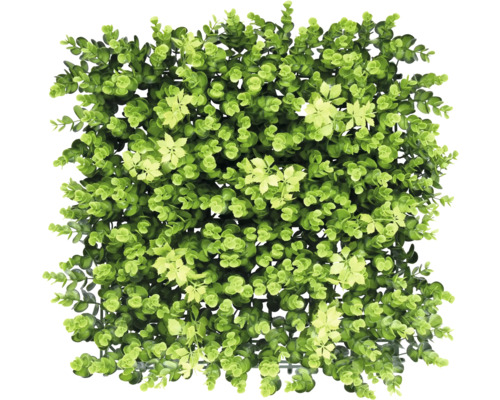Künstliche Pflanzenwand big Eucalyptus 38 x 38 cm Künstliche grüne Pflanzenmatte mit Blättern