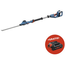 Akku-Hochentaster mit Gratis-Akku