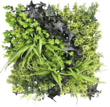 Künstliches Pflanzenpaneel mit verschiedenen grünen Pflanzenarten.