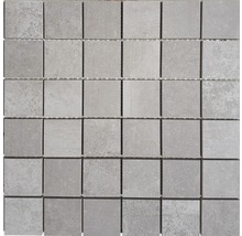 Mosaik Greenwich Greige 30 x 30 cm