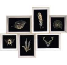 Mehrteiliges Wandbild mit Motiven von Blatt, Feder, Muschel, Biene, Farn und Hirschgeweih