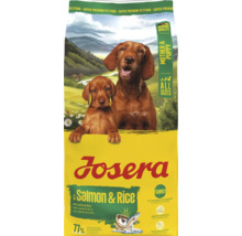 Josera Hundetrockenfutter mit Lachs und Reis für Mutter und Welpe, geeignet für alle Rassen