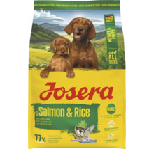 Josera Hundefutter mit Lachs und Reis für Mutter und Welpe, alle Größen