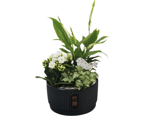 Arrangement aus verschiedenen Grünpflanzen und weißen Blüten in einem Topf mit Vogeldekoration