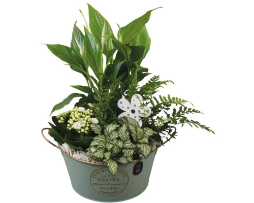 Blumenarrangement mit Friedenslilie, Farn und Kalanchoe in einem Zinkeimer