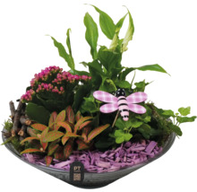 Arrangement mit Zimmerpflanzen, Holzhackschnitzeln und Dekofigur in einer Schale