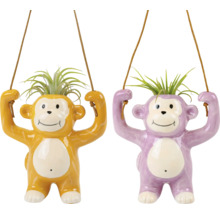 Zwei hängende Affen Pflanzgefäße mit Pflanzen