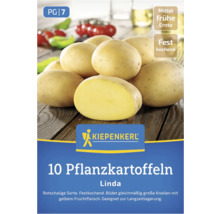 Kiepenkerl Pflanzkartoffeln Linda, 10 Stück, mittelfrühe Ernte, festkochend