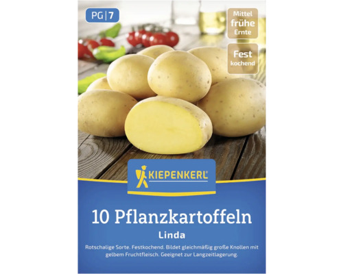 Kiepenkerl Pflanzkartoffeln Linda, 10 Stück, mittelfrühe Ernte, festkochend