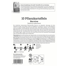 10 Pflanzkartoffeln Bernina, Solanum tuberosum mit Pflanzanleitung und Hinweis zur Verpackungsentsorgung