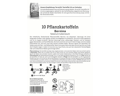 10 Pflanzkartoffeln Bernina, Solanum tuberosum mit Pflanzanleitung und Hinweis zur Verpackungsentsorgung