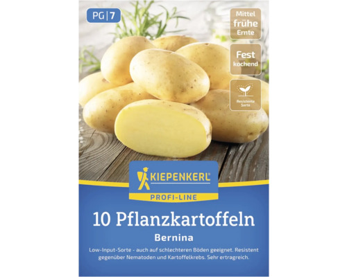 Kiepenkerl Pflanzkartoffeln Bernina, 10 Stück, mittelfrühe Ernte, festkochend, resistente Sorte