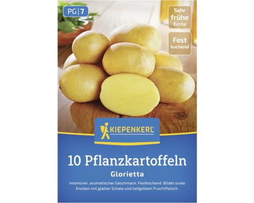 Kiepenkerl Saatgutpackung mit 10 Pflanzkartoffeln, Sorte Glorietta