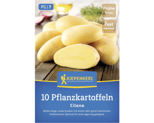 Kiepenkerl Logo, 10 Saatkartoffeln Cilena, frühe Ernte, festkochend
