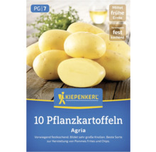 Verpackung mit 10 Saatkartoffeln der Sorte Agria von Kiepenkerl