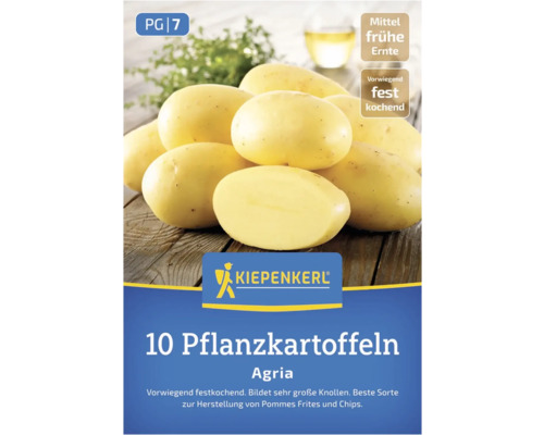 Verpackung mit 10 Saatkartoffeln der Sorte Agria von Kiepenkerl
