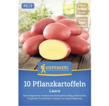 Kiepenkerl Laura Pflanzkartoffeln, rotschalige Sorte