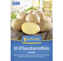 Verpackung mit zehn Saatkartoffeln der Sorte Gunda