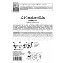 Verpackung mit 10 Pflanzkartoffeln der Sorte Bellarosa
