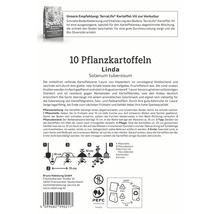Informationen zu 10 Pflanzkartoffeln der Sorte Linda mit Pflanzanleitung und Entsorgungshinweisen