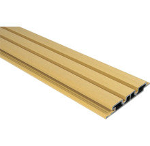 Kunststoffpaneel für Wand- und Deckenverkleidung